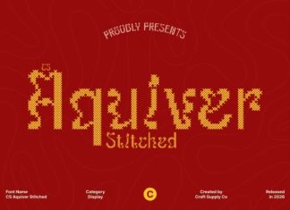 CS Aquiver Stitched Font preview image 1