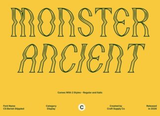 CS Berish Stippled Font preview image 3