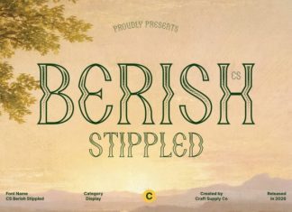 CS Berish Stippled Font preview image 1