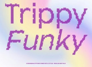 CS Bohemian Stitched Font preview image 3