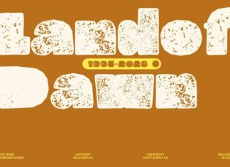 CS Broken Stamp Font preview image 2