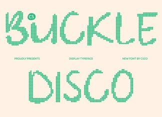 CS Buckle Disco Font preview image 1