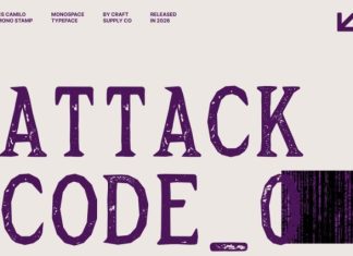 CS Camilo Mono Stamp Font preview image 2