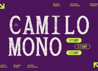 CS Camilo Mono Stamp Font preview image 1