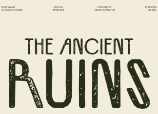 CS Carson Stamp Font preview image 3