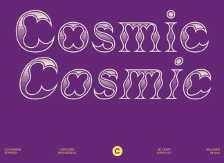 CS Chimera Stippled Font preview image 3