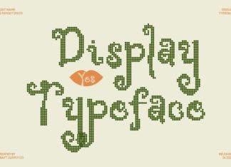 CS Mimsey Disco Font preview image 3