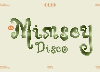 CS Mimsey Disco Font preview image 1
