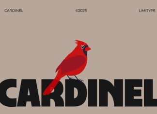 Cardinel Font preview image 1
