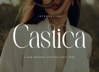Castica Font preview image 1