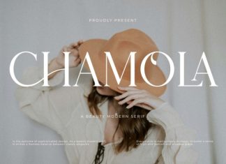 Chamola Font preview image 1