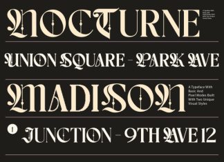 Choire Font preview image 2