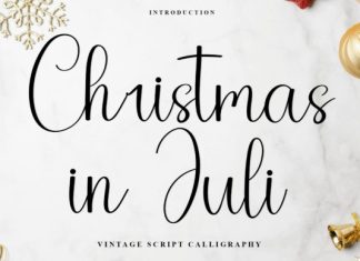 Christmas In Juli Font preview image 1