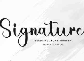 Christmas Magnolia Font preview image 2