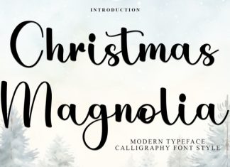 Christmas Magnolia Font preview image 1