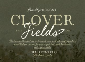 Clover Fields Font Duo preview image 1
