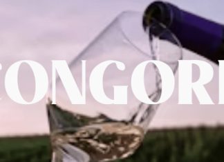 Congord Font preview image 1