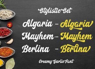 Creamy Garlic Script Font preview image 2