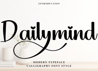 Dailymind Script Font preview image 1