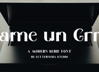 Dame un Grrr Font preview image 1