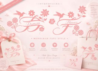 Damira Flower Monogram Font preview image 1