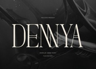 Dennya Font preview image 1