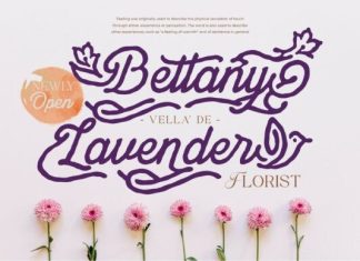 Dianthus Maiden Font preview image 2