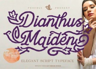 Dianthus Maiden Font preview image 1