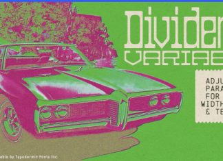 Dividente Font preview image 1