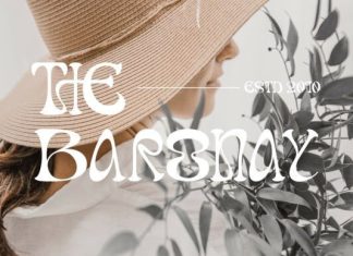 Dream theatrion Font preview image 3