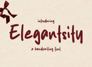Elegantsity Font preview image 1