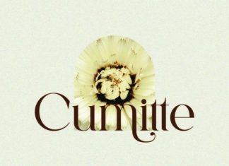 Emotte Font preview image 3