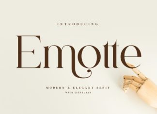 Emotte Font preview image 1