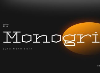 FT Monogrid Font preview image 1