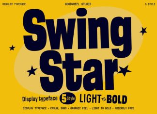 GW Swingstar Font preview image 1