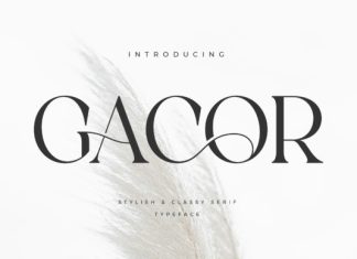 Gacor Font preview image 1