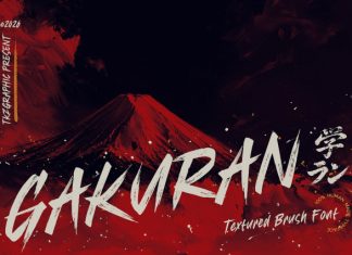 Gakuran Font preview image 1