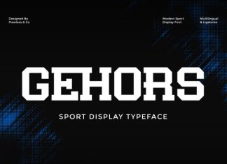 Gehors Font preview image 1