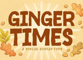 Ginger Times Font preview image 1