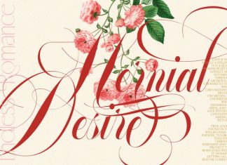 Glowing Romance Font preview image 2