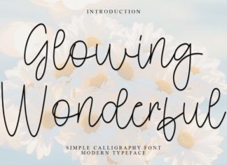 Glowing Wonderful Handwritten Font preview image 1