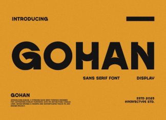 Gohan Font preview image 1