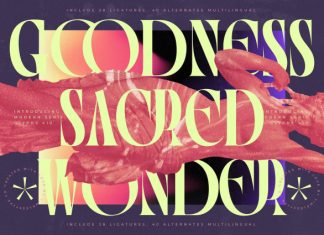Goodness Sacred Wonder Font preview image 1