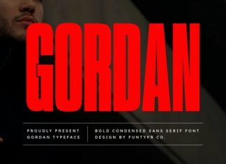 Gordan Font preview image 1