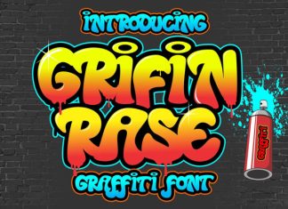 Grifin Rase Font preview image 1