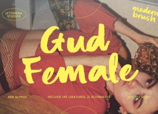 Gud Female Font preview image 1