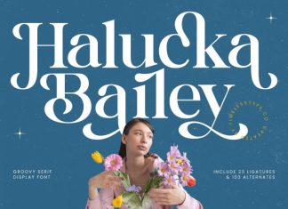 Halucka Bailey Font preview image 1