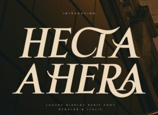Hecta Ahera Font preview image 1