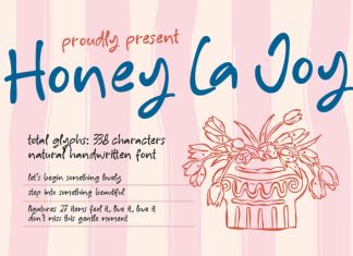 Honey La Joy Font preview image 1