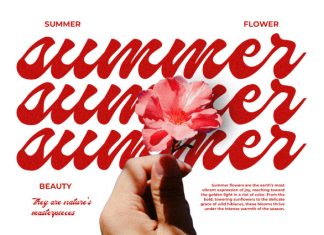 Hormuz – Bold Script Handwritten Streetwear Font preview image 3
